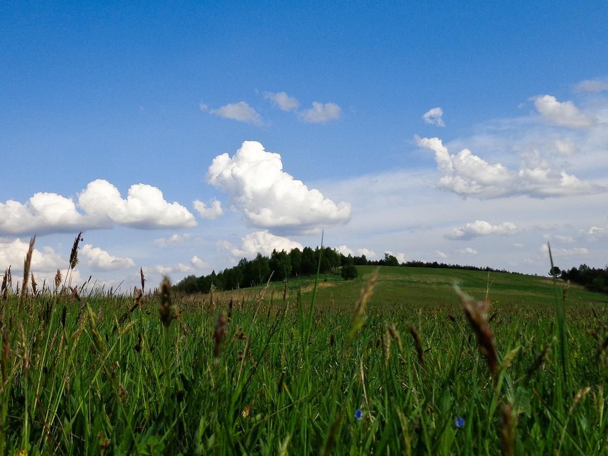 Фермерские дома Nad Horyłką Ropienka-41