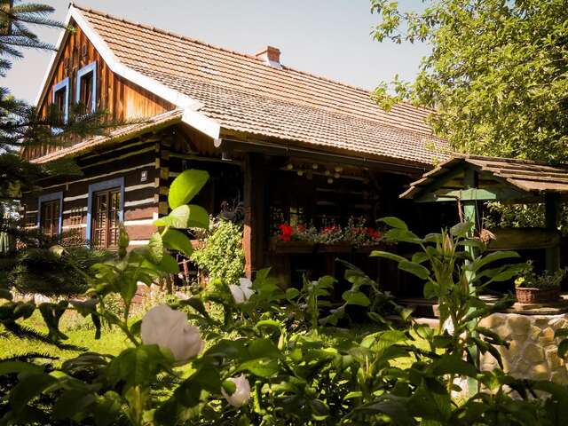 Фермерские дома Nad Horyłką Ropienka-19